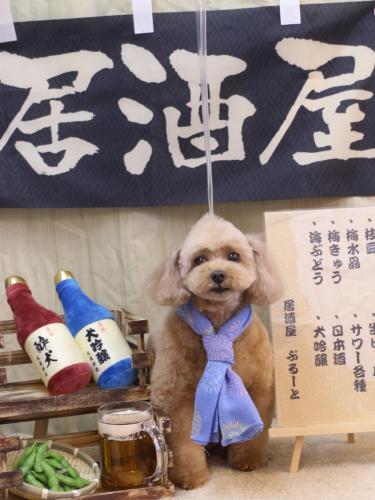 20240611バーディーくん